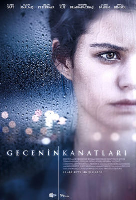 gecenin-kanatlari-the-wings-of-the-night-turkish-movies-english-subtitles