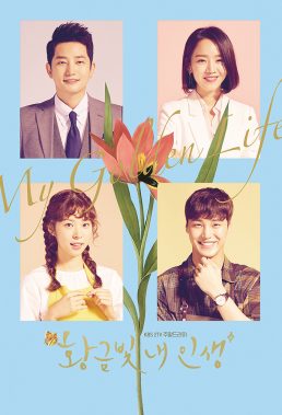 My Golden Life (2017) - Korean Drama - HD Streaming with English Subtitles