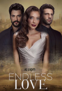 turkish romantic series with english subtitles