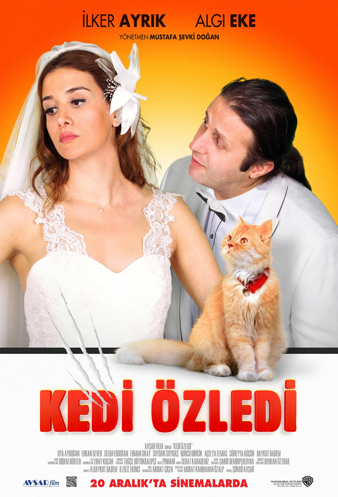 Kedi Özledi (Cat Missed) (2013) Turkish Romantic Movie HD Streaming