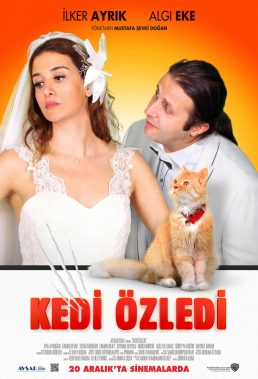 Kedi Özledi (Cat Missed) (2013) - Turkish Romantic Movie - HD Streaming with English Subtitles