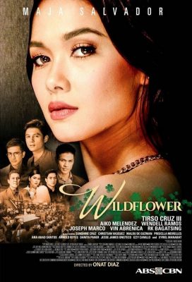 Wildflower (2017) - Philippine Teleserye - HD Streaming with English Subtitles