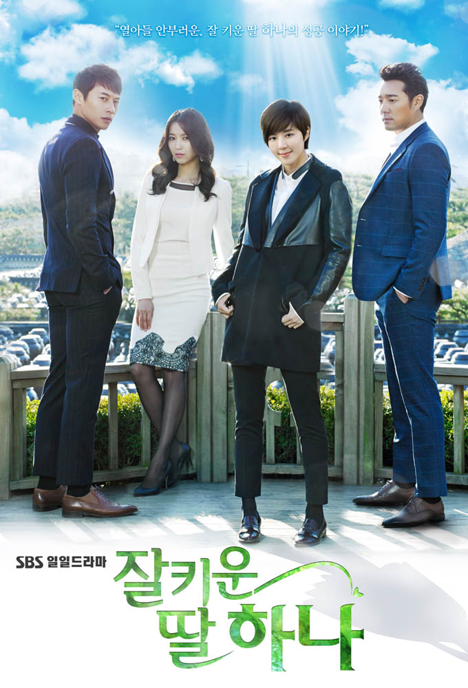 One Well-Raised Daughter (2013) - Korean Drama - HD Streaming with English Subtitles