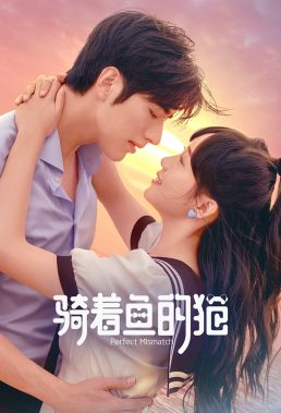 Perfect Mismatch (2023) - Chinese Drama - HD Streaming with English Subtitles